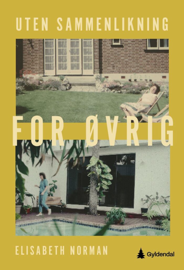 Elisabeth Norman debuterer med den skjønnlitterære boken : Uten sammenlikning for øvrig